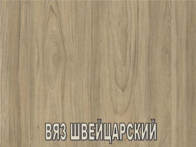 Вяз Швейцарский 1114